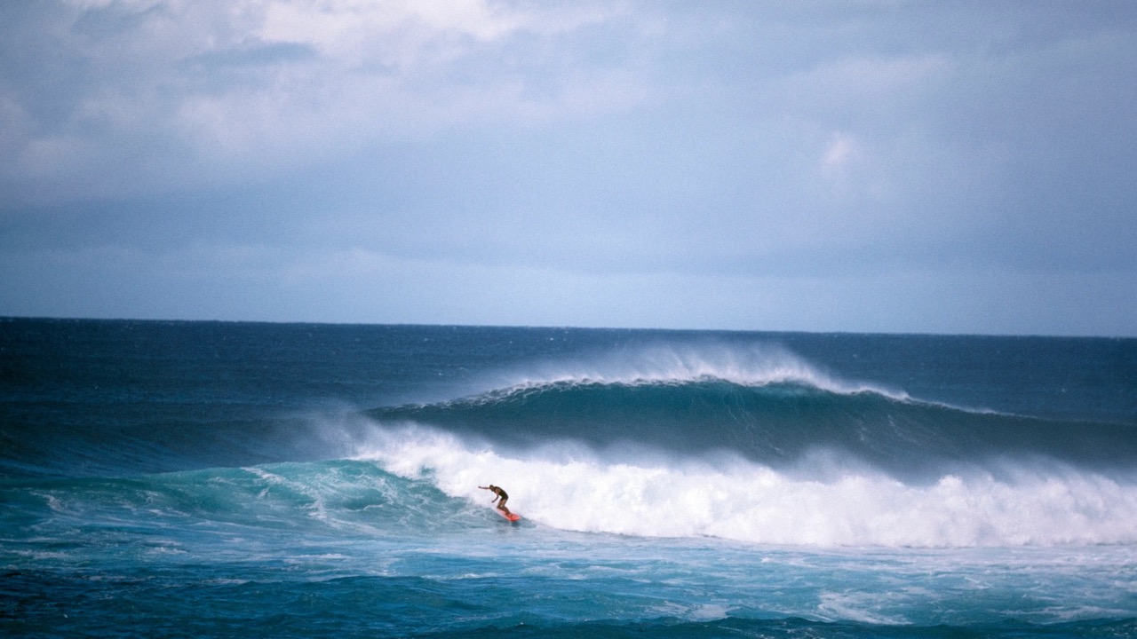 Quan Sát Nhẹ Nhàng Giúp Tâm Trí Trở Nên Bình Lặng Và Rõ Ràng